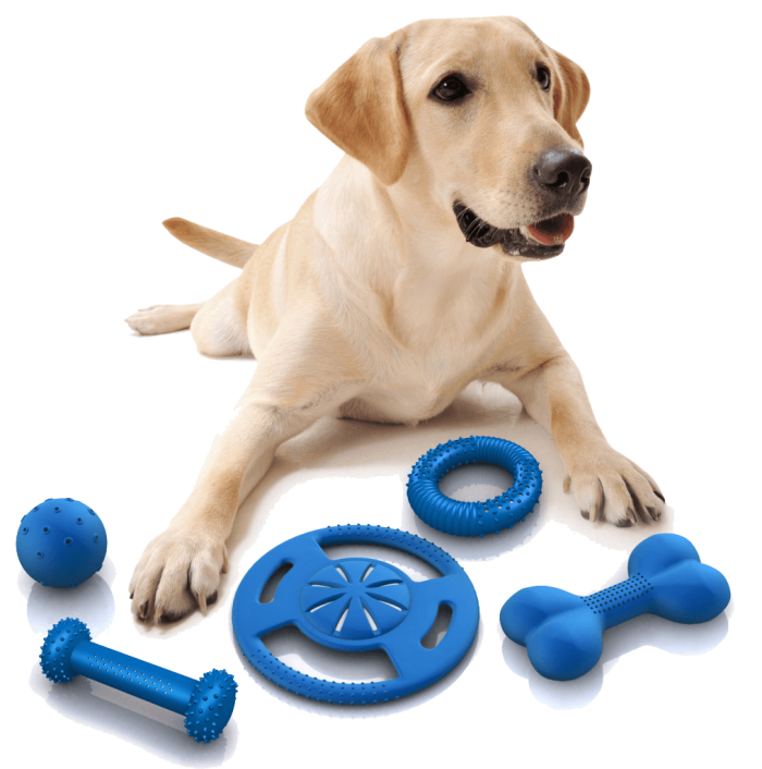 Dog Toys Pet Puppy